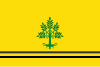 Bandeira de Sant Guim de Freixenet