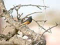 Male; Bhopal, Madhya Pradesh, India