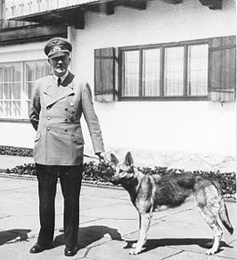 Adolf Hitler met Blondi op de Berghof