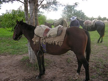 Landestypische „Sandwich“-Sattelung der Criollo-Pferde der Gauchos, geschichtet, neben anderem, aus einem oder mehreren Lammfellen (Paraguay, 2005)