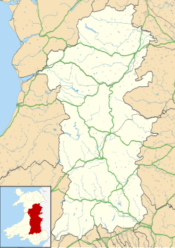 Newtown ubicada en Powys