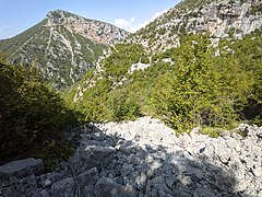 View from the beggining of Syri i Cikllopit trail.jpg