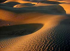 Gurun Thar cedhak Jaisalmer .