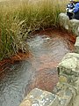 Fuente natural de agua gasificada