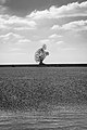 Exposure ('De hurkende man') Kunstwerk van Antony Gormley.