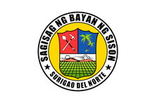 Flag of Sison, Surigao del Norte.png