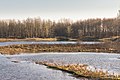 Waterpartij in het natuurgebied.