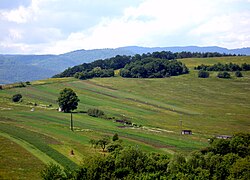 Prešov eskualdeko landak