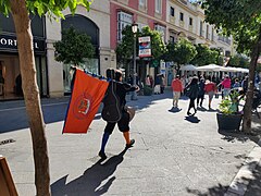 Jerez de la Frontera-IMG 20240217 123651.jpg