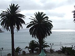 Madeira - Machico (2092866161).jpg