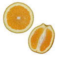 Orange (Citrus sinensis) cross section