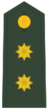 Teniente Coronel