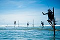 Stick fishermen of Sri Lanka