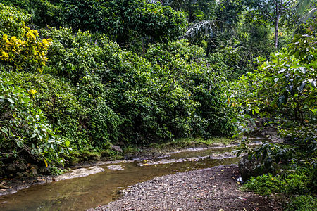 Stream near graveyard, Saka Tunggal Mosque