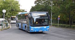 222-es busz a Szilágyi Erzsébet fasoron