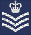 Royal Air Force[19]