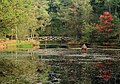 34 Bridge over the pond at Elfbergen Gaasterland, Netherlands uploaded by Famberhorst, nominated by Famberhorst