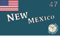 An early flag design for New Mexico, which shows a rare instance of the US flag as a canton