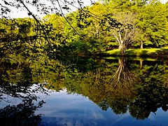 Jamaica Hills - Pond, Boston, MA, USA - panoramio (24).jpg