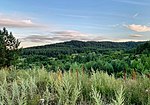 Pine tree over wooded valley, Khvalynsky NP