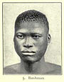 San man, Bushman type