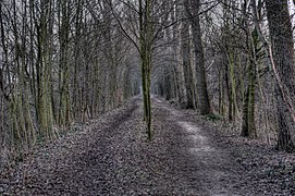 Nahe Münchrath, Blickrichtung Süden