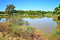 Struben Dam Bird Sanctuary