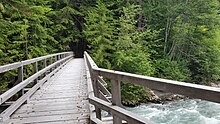 A view from a wooden bridge over a small river in a forested environment