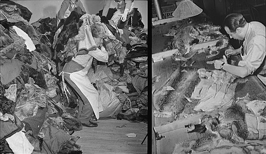 „Pelzwesten-Projekt“ der USA im Zweiten Weltkrieg, Produktion von Unterziehfuttern aus getragenen Pelzen für die amerikanische Marine