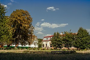 Антонінський парк. 2017 р.