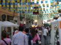 Festa dies in Alexandriae (Borgo Rovereto)