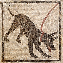 ‘Cave canem’, mozaik