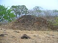 Ruinas de los Guachimontones