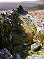 Wheelpit (remains) at the Huntingdon Warren mine on the Western Walla Brook