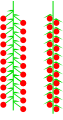 柔荑花序