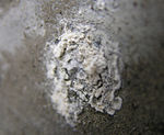 Corrosion par piqûre d’un alliage d’aluminium de qualité supérieure, de la famille des 7000