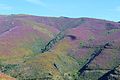 Serra do Marão na Primavera