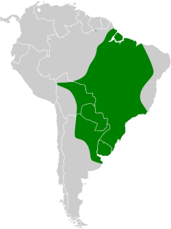 Distribución geográfica de la monjita gris.