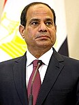 Abdel_Fattah_el-Sisi.jpg