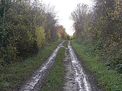 Bridleway towards Mapperley - geograph.org.uk - 1167856.jpg