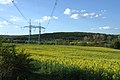 Čeština: Řepkové pole severně od Dobříše English: A field north from Dobříš, Central Bohemian Region, CZ