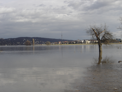 Gleicher Standort bei mittlerem Hochwasser (Pegelstand ca. 7,10 m)