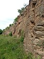 Steinbruch in der Bernburg-Formation mit Stromatolithen im Top der Wand