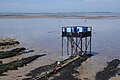 Cabanes de pêche au carrelet (sans ponton d'accès), avec l'île d'Aix au loin.