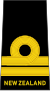 Lieutenant