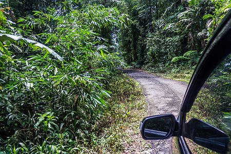 Road to/from Pancuran Tujuh