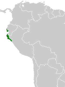 Distribución geográfica del pijuí collarejo.