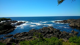 View from Wild Pacific Trail Ucluelet 3.jpg