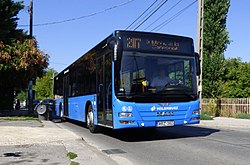 287-es busz a Kamaraerdei úton