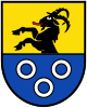 Coat of arms of Bruck-Waasen